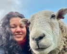 The pet I’ll never forget: Merlin the therapy sheep