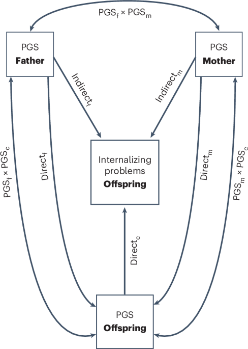 Direct and indirect parental genetic effects on offspring susceptibility to internalizing problems across development – Nature Mental Health