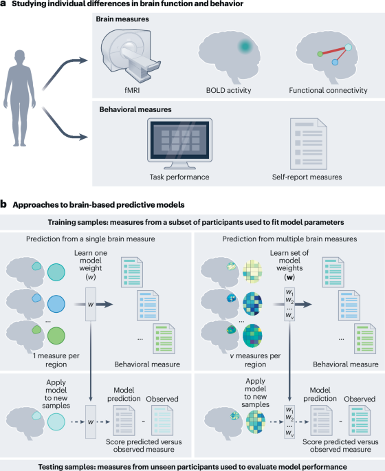 Revamping neuroimaging analysis to reveal biomarkers of adolescent mental health – Nature Mental Health