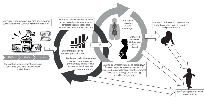 Racism-related developmental origins of mental health: a conceptual model and scoping review – Nature Mental Health