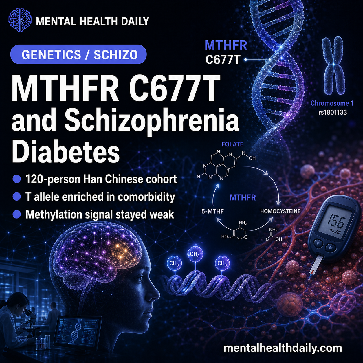 mthfr-c677t-linked-to-schizophrenia-with-type-2-diabetes-in-han-chinese
