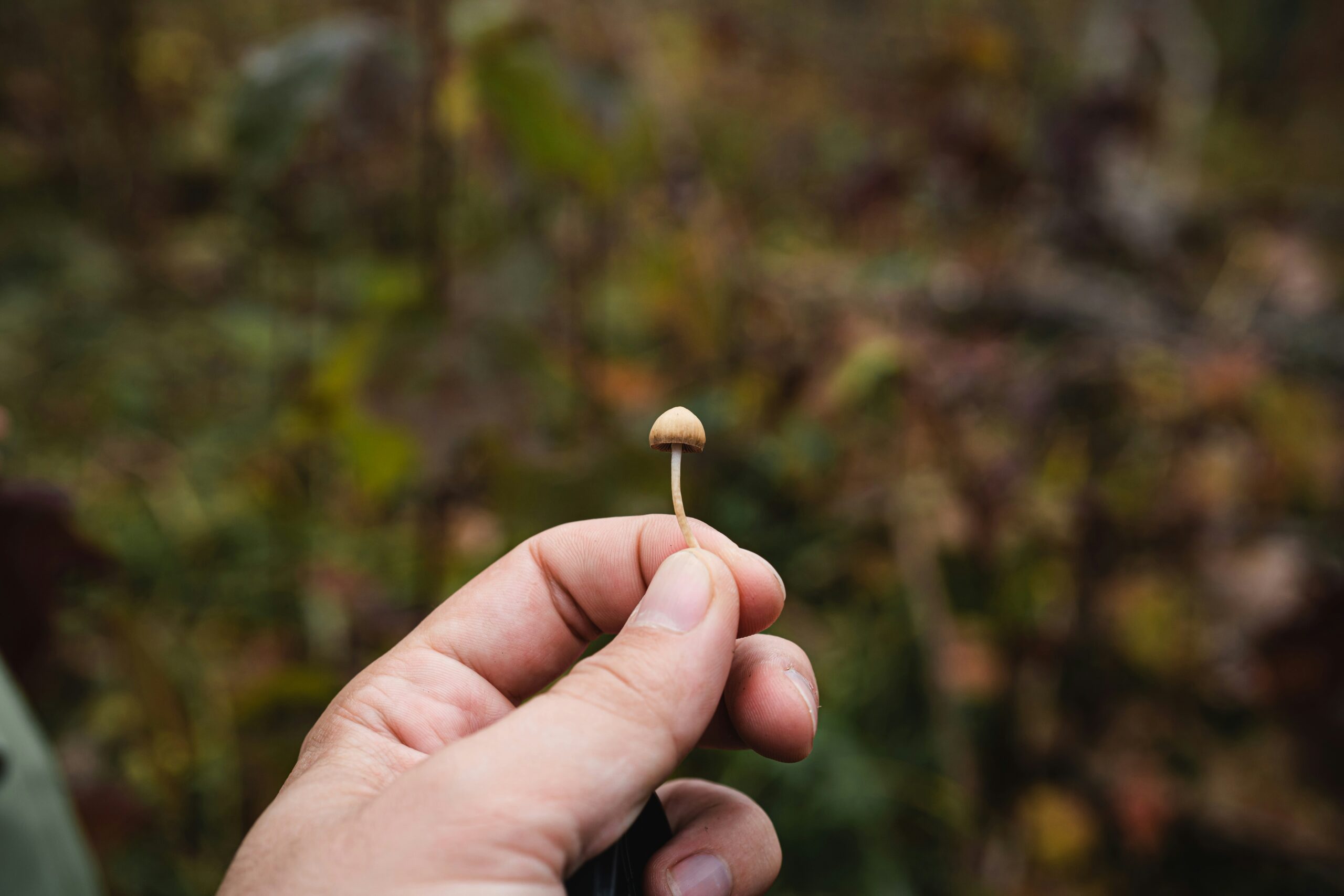 Psilocybin-assisted therapy for difficult-to-treat depression: underwhelming, but still vital?