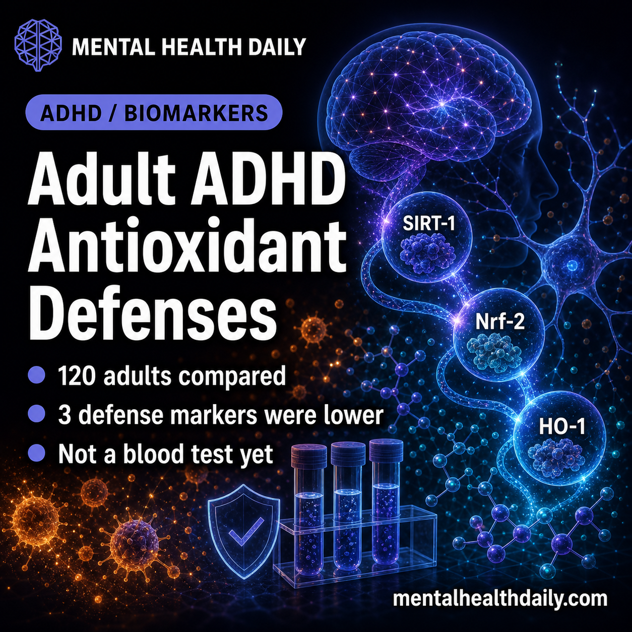 Adult ADHD Linked to Lower SIRT-1/Nrf-2/HO-1 Antioxidant Defenses