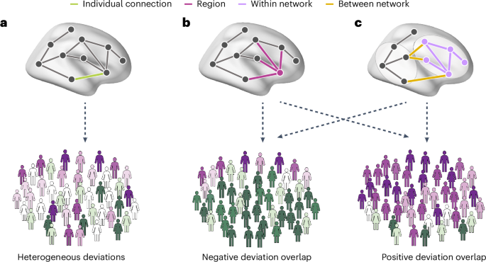 Multiscale heterogeneity of atypical functional connectivity in autism – Nature Mental Health