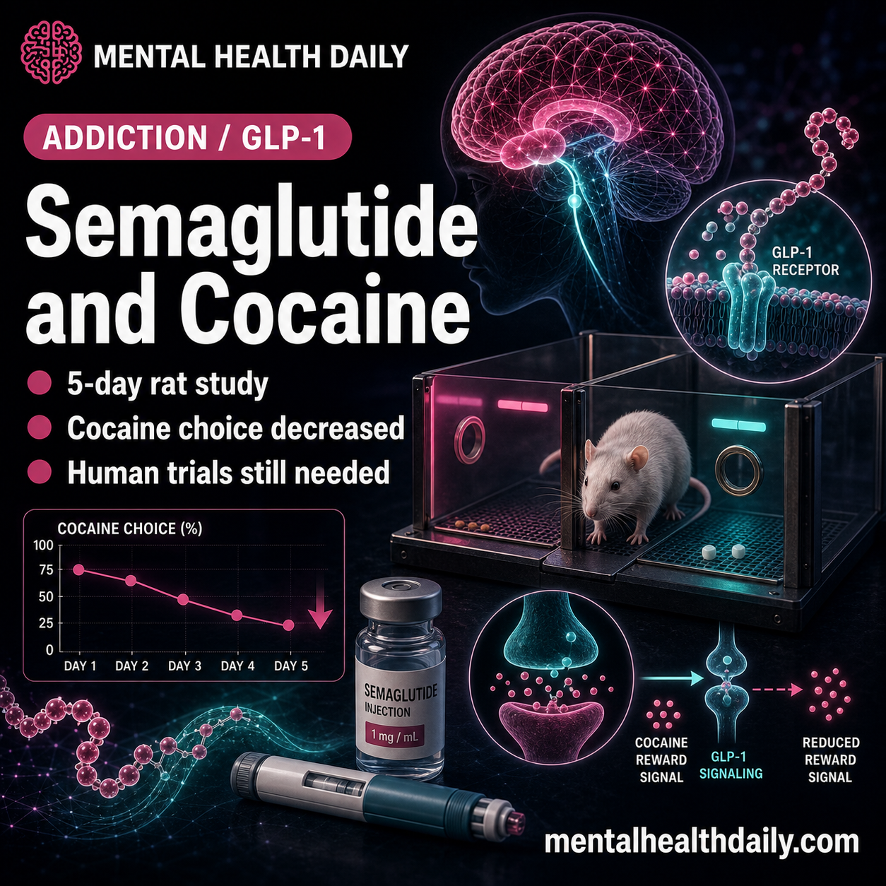 Semaglutide Reduced Cocaine Choice in Rat Study