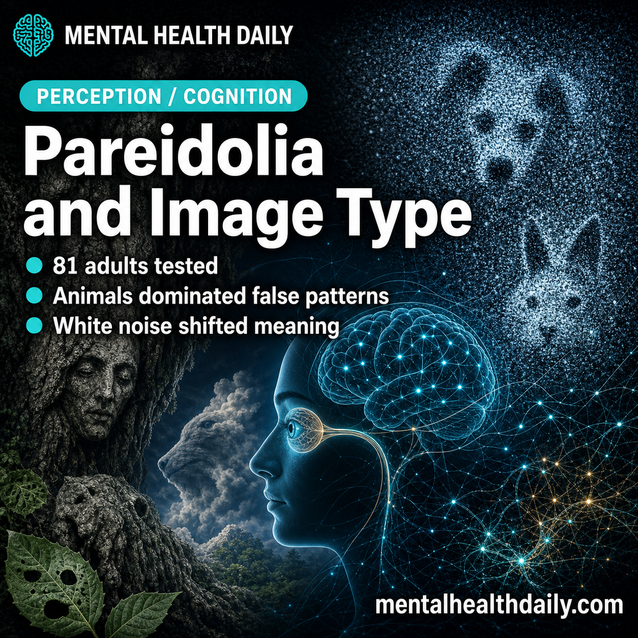 pareidolia-study:-natural-images-shift-illusions-toward-animals-and-nature