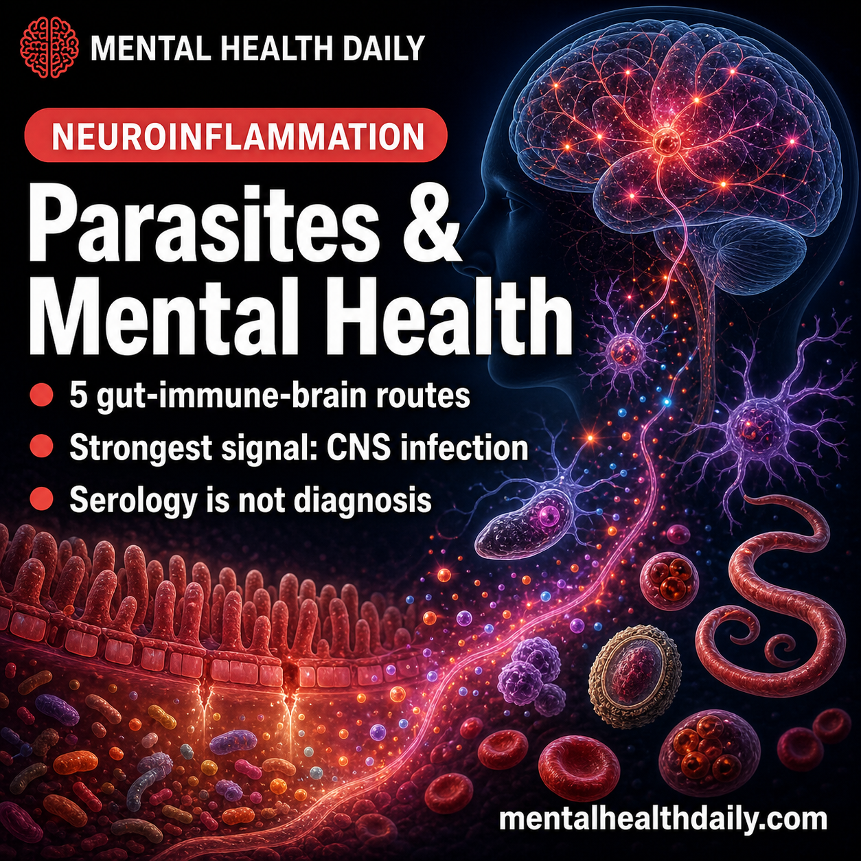 Parasite Infections and Mental Health: 5 Gut-Brain Immune Routes