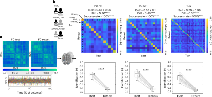 patient-specific-functional-networks-track-early-cognitive-alterations-and-minor-hallucinations-in-parkinson’s-disease-–-nature-mental-health