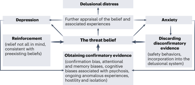 on-the-fixed-nature-of-delusions-–-nature-mental-health