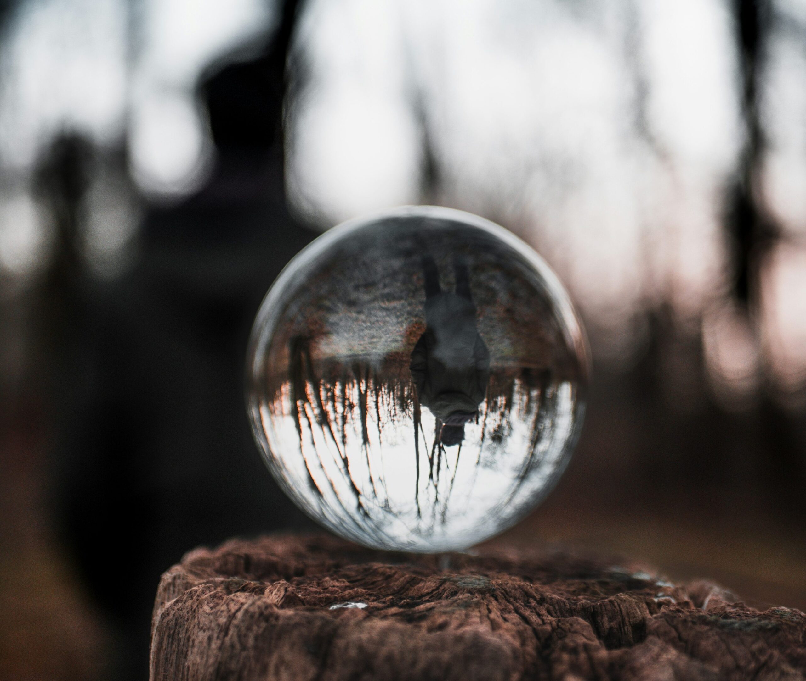 the-diagnosis-dilemma:-can-transdiagnostic-approaches-close-the-care-gap-for-distressed-youth?