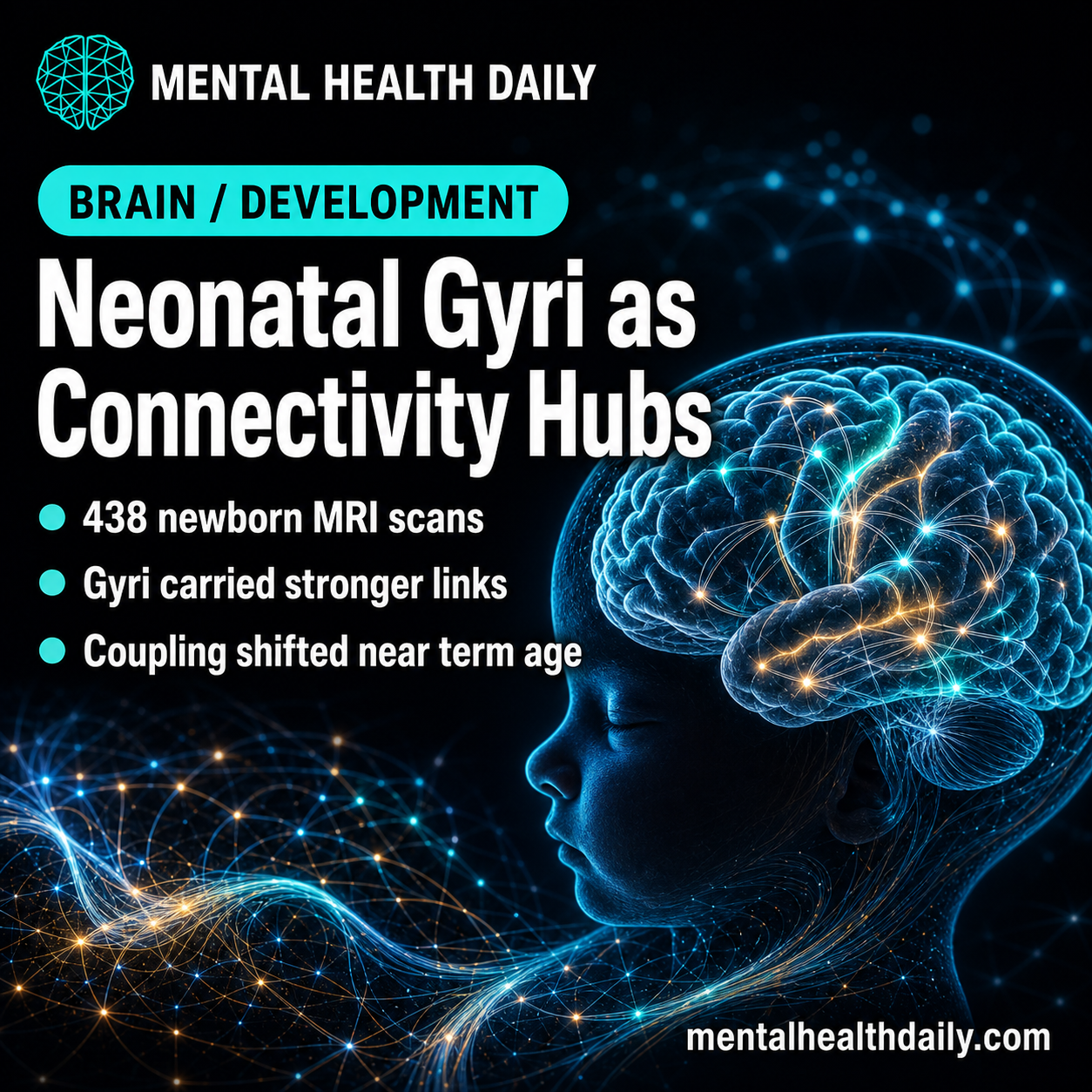 neonatal-brain-mri-shows-gyri-are-connectivity-hubs-by-38-44-weeks