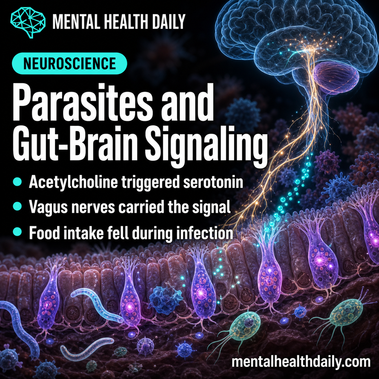 parasite-gut-brain-study-links-tuft-cells-to-serotonin-appetite-signal