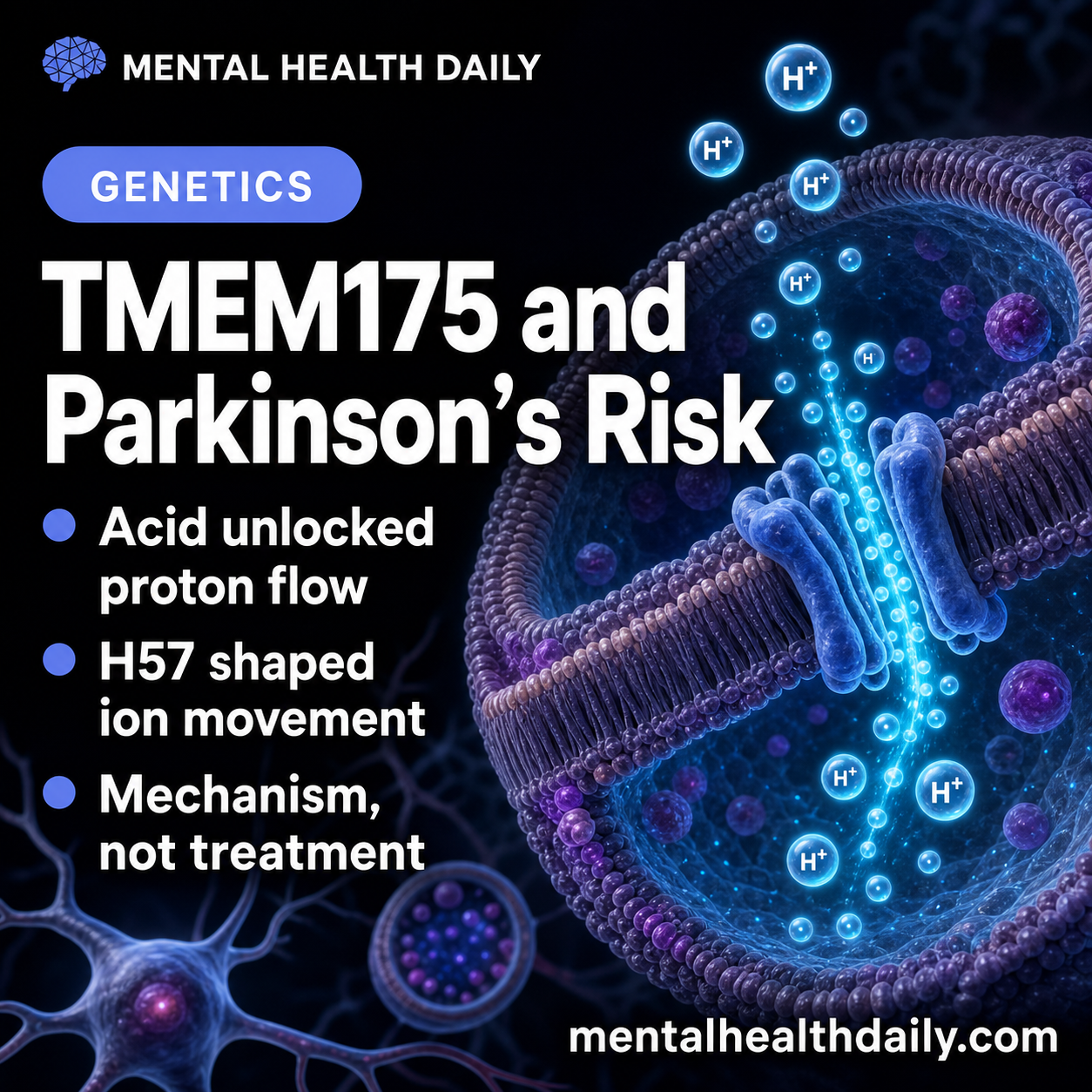 tmem175-proton-channel-finding-clarifies-parkinson’s-lysosome-risk