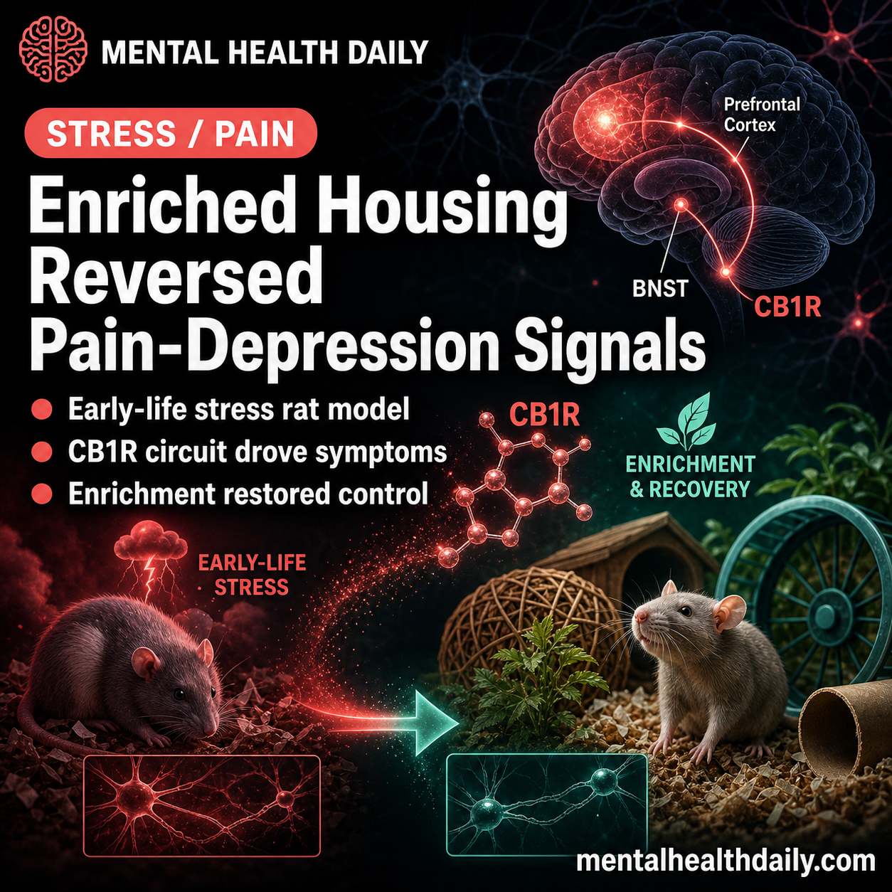 Environmental Enrichment Reversed Visceral Pain and Depression in Rats