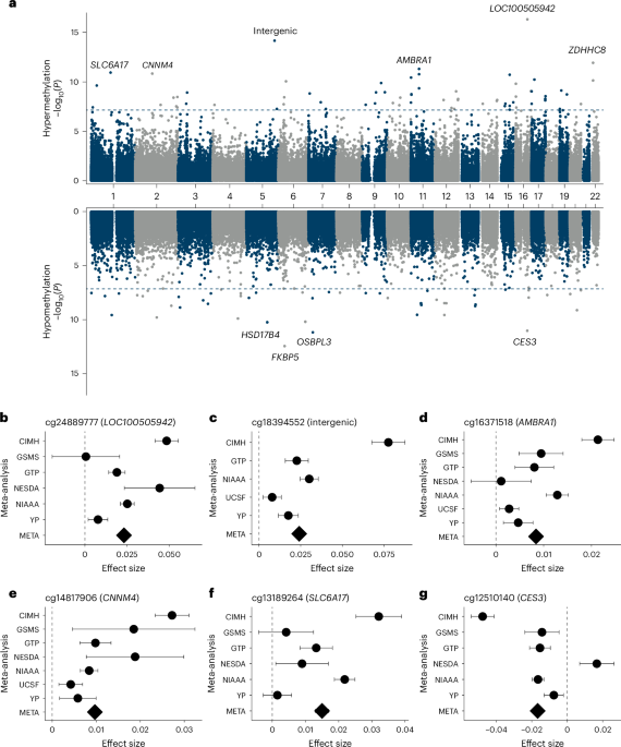 a-large-scale-meta-analysis-of-dna-methylation-signatures-of-alcohol-use-disorder-in-the-psychiatric-genomics-consortium-–-nature-mental-health
