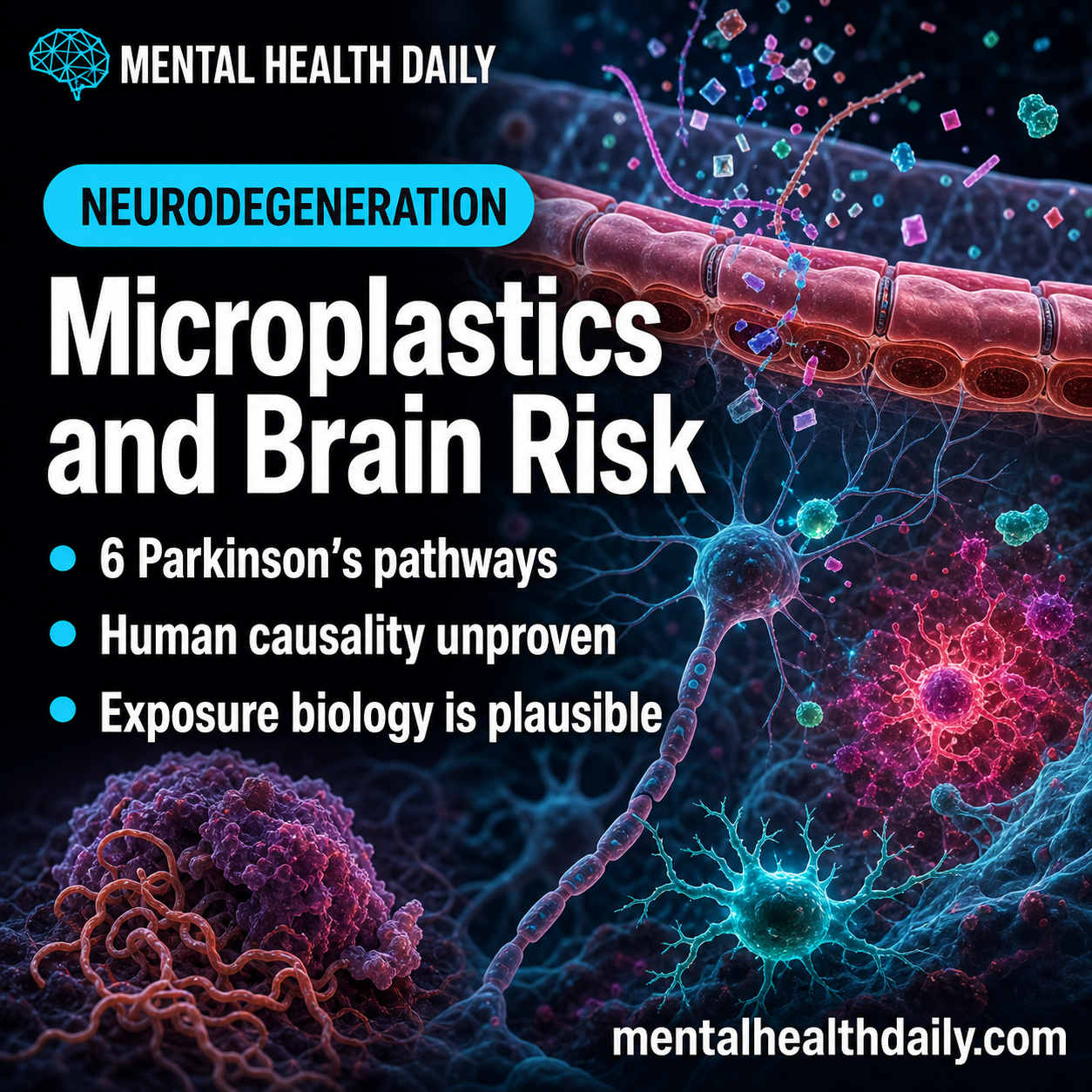 microplastics-and-parkinson’s-disease:-6-plausible-brain-risk-pathways