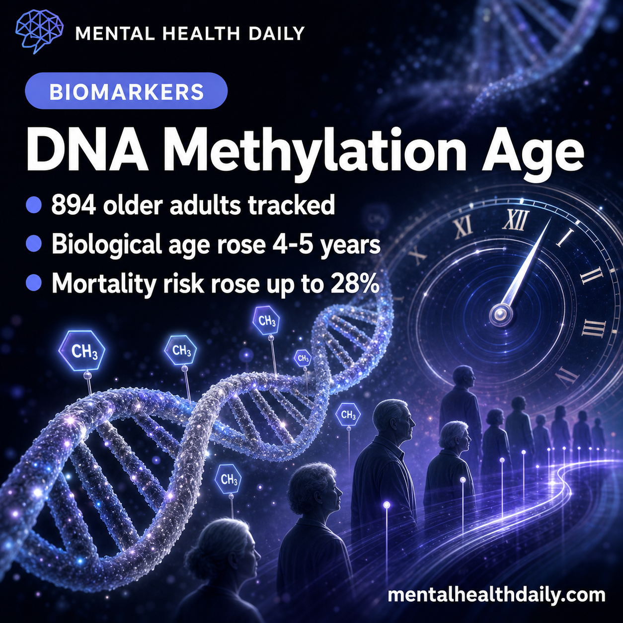 DNA Methylation Biological Age Slope Raised Mortality Risk 28%