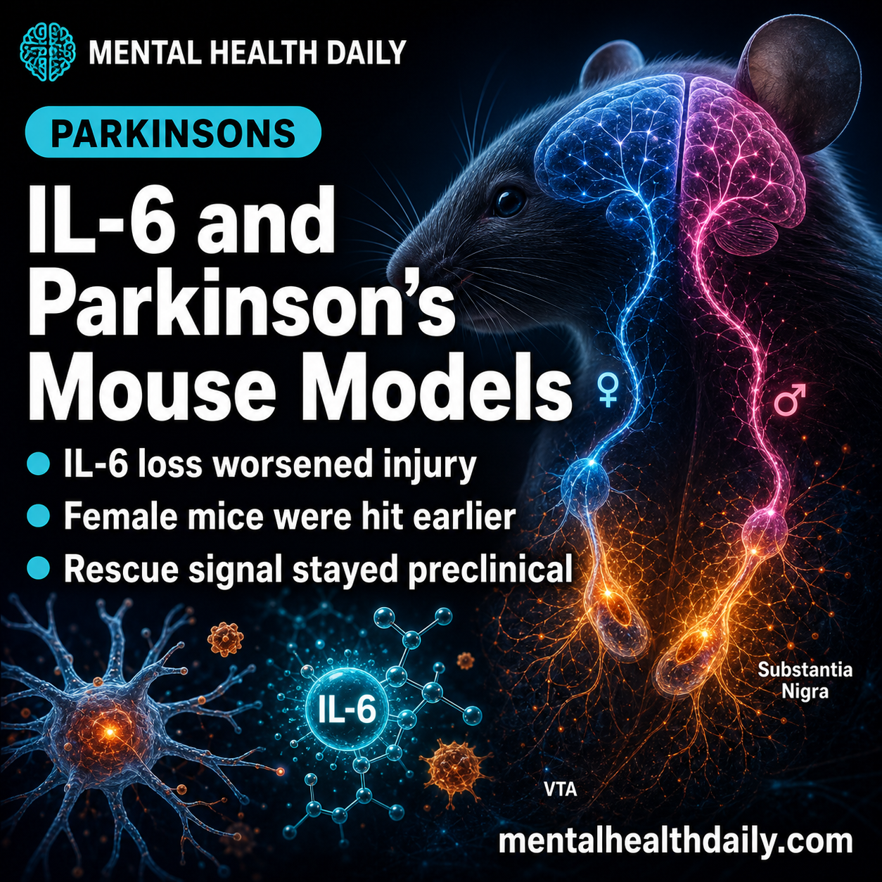 IL-6 Deficiency Worsened Parkinson’s Mouse Models, Especially in Females