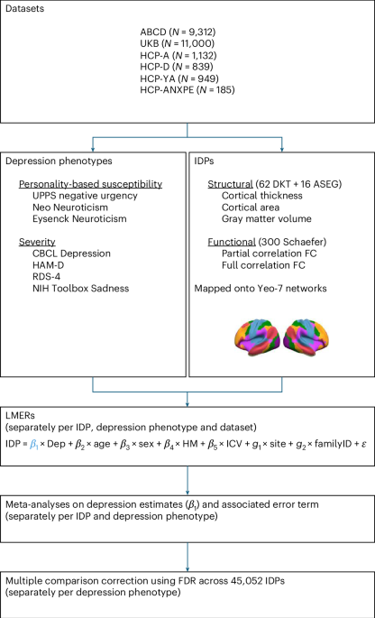 The neuroimaging correlates of depression established across six large-scale population datasets – Nature Mental Health