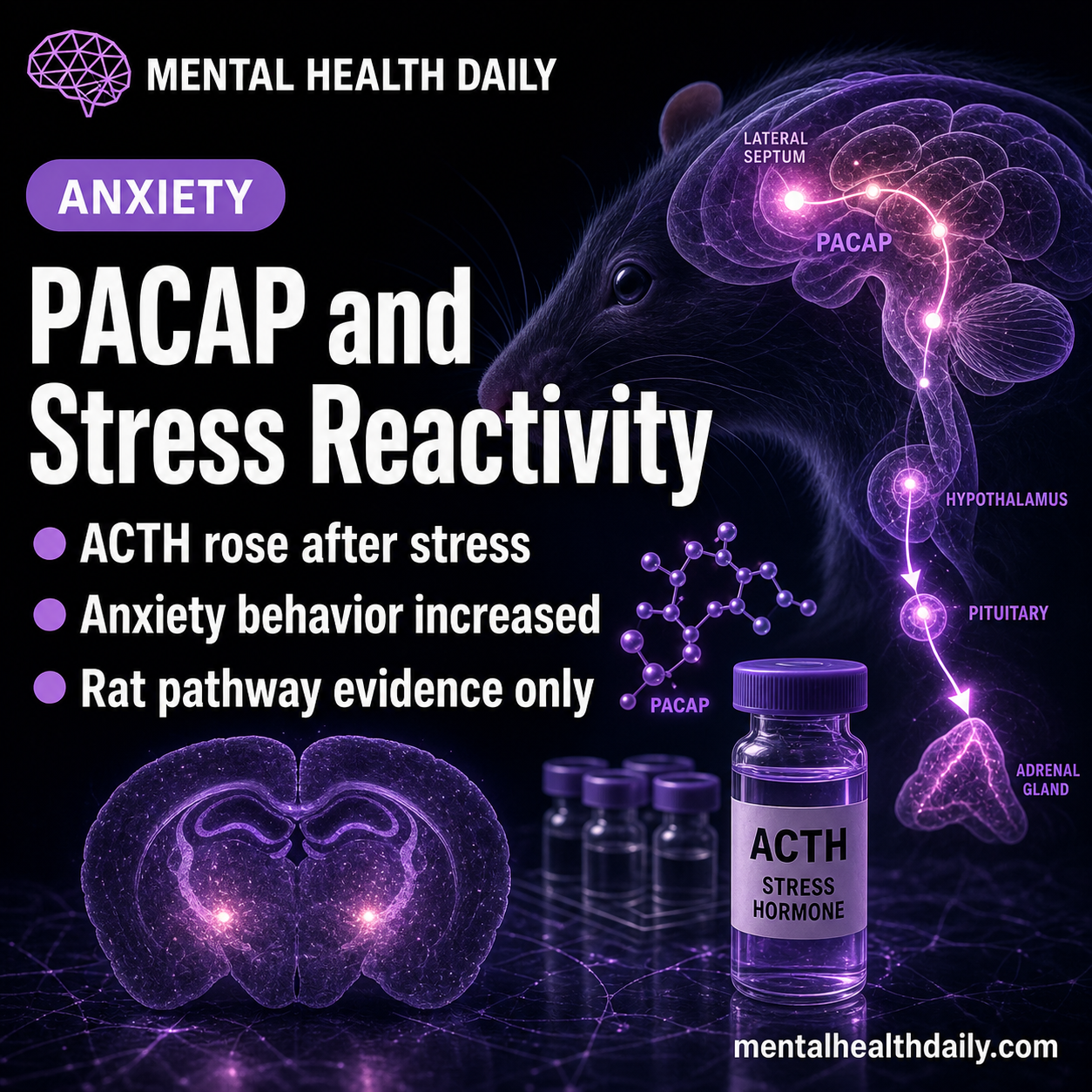 Lateral Septal PACAP Increased Stress Hormones and Anxiety Behavior