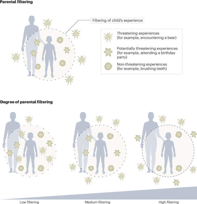 leveraging-parental-processes-in-the-treatment-of-childhood-anxiety-disorders:-insights-from-developmental-neuroscience-–-nature-mental-health