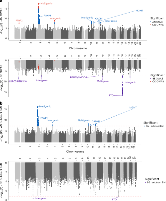 genomic-meta-analyses-of-binge-eating-behavior-and-anorexia-nervosa-yield-insights-into-the-unique-and-shared-biology-of-eating-disorder-phenotypes-–-nature-mental-health