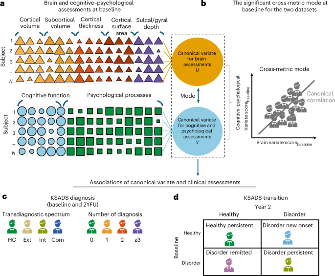 brain-morphological-pattern-is-associated-with-the-presence,-severity-and-transition-of-transdiagnostic-psychiatric-disorders-in-preadolescents-–-nature-mental-health