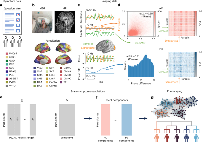 magnetoencephalography-oscillation-based-functional-connectivity-identifies-clinically-relevant-depression-phenotypes-–-nature-mental-health