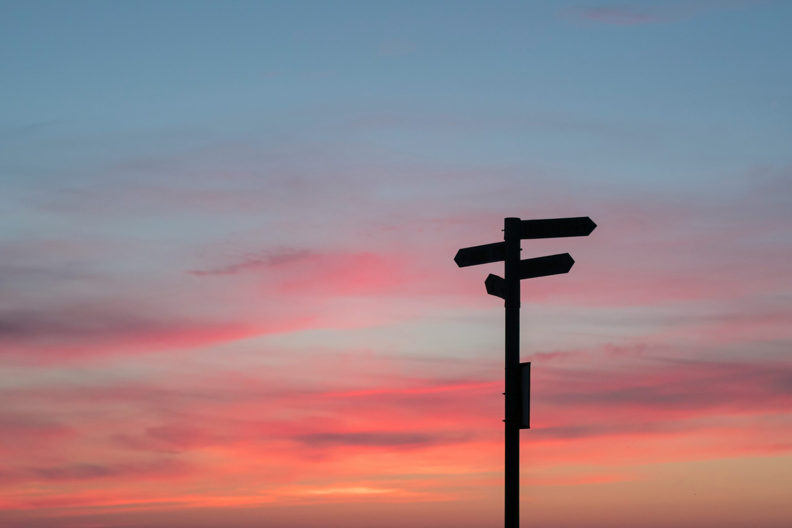 Where do we go from here? Research priorities for metabolic interventions in severe mental illness